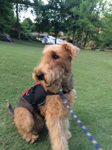 Munchen in Greenville Park