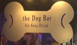Awesome dog bar in North Davidson (NoDa) in Charlotte.  This is a great spot where you can drink a beer and let your dog off leash.