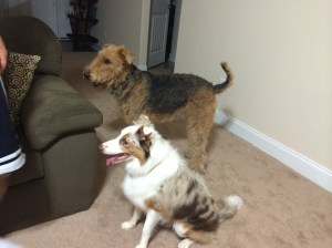 Playing with my new friend.