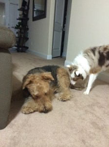 Dani REALLY likes me.....