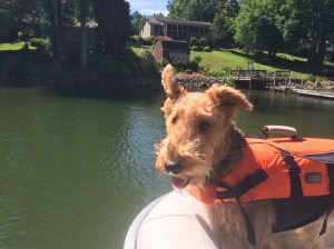 Lovin the Breeze off the water.