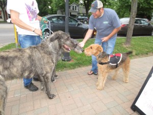 I didn't know we could grow this big...... Am I small??