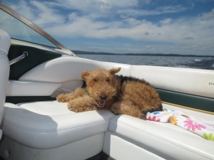 I LOOOOOVVVVVEEEE Boat rides