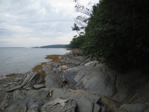 Hiking along Wolfs Neck Park