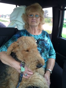 Grandma and I on the way to doggie day care, while the humans went out gallivanting around.