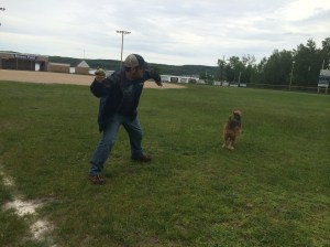 Finally the humans do what I want to do.....