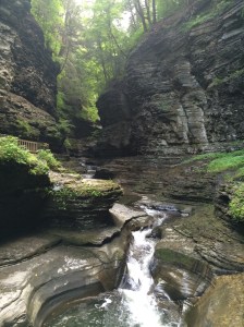 One of many great views in Watkins Glen Park. The best hike of the trip so far.