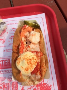 Lobster Roll from Lobster Shack on Cape Elizabeth