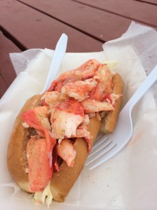 Lobster Roll from Food Cart in Cape Elizabeth Park.  The nice owners actually gave me a whole claw, unlike my humans who would not share.