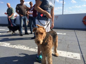 The wind that came off the front of the ferry was really messing up my hair.