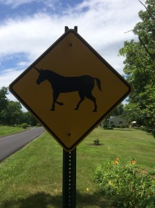 I don't know what people are putting in the wine but there are caution signs for Unicorns.