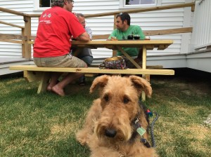 At Maine Beer Company, where Daddy had a beer with some Mainers.  Notice that once again he is not giving me any.  He is really starting to piss me off.