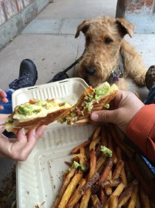 I'm patiently waiting for some of this guacamole grilled cheese to be dropped