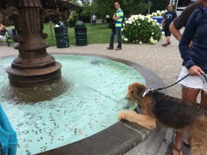 Now THIS is a water bowl!!