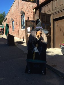 I visited Salem, and guess what I found......another awesome cutout!!