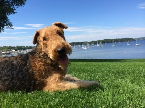 Enjoying the day in Mallet's Bay just north of Burlington