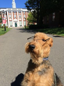 We stopped in Cambridge and visited my alma mater Harvard.  
