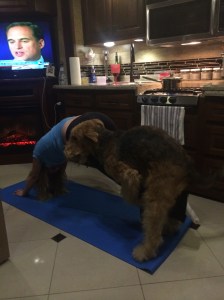 I decided to give mommy some yoga pointers