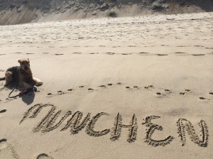 My pawmenship isn't what it used to be