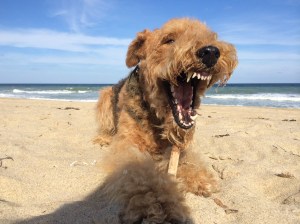 ehhhhh,  sand in my mouth